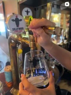 Silly Moo cider pour at the bar — recent Instagram post